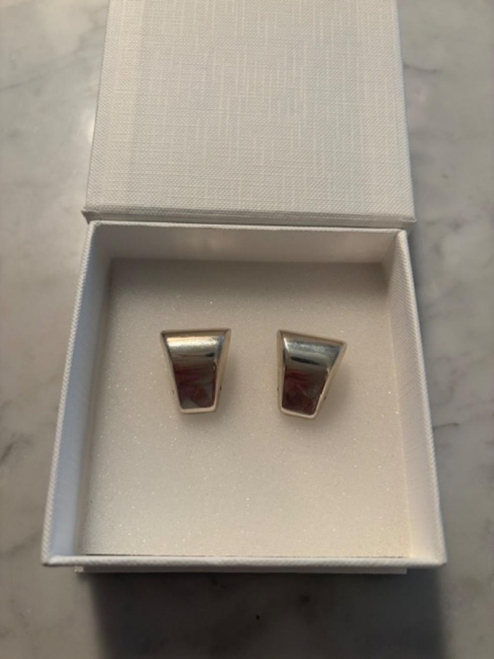 Silver Chunky Earrings (Oversized)